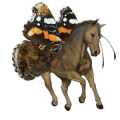 ridehest argentinsk criollo fuks tovero 