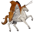 ridehest quarter horse rødskimmel