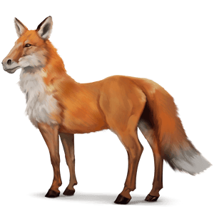 chimerique-renard