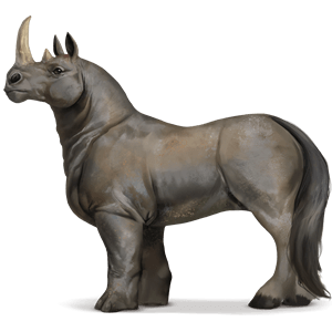 chimeriquerhinoceros