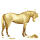 ridehest berberhest epleskimmel