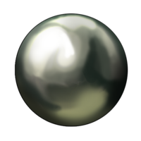 perlenoire