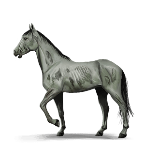 ridepegasus sult