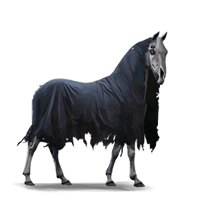 ridepegasus døden