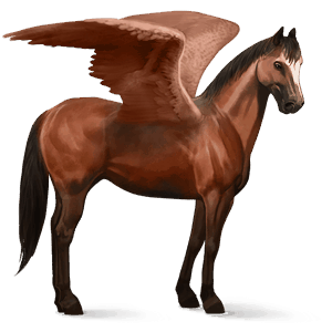 ridepegasus quarter horse linfarget fuks