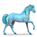 regnbuens hest, lovely blue