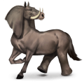 villhesten elefant