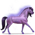 regnbuens hest, brave purple