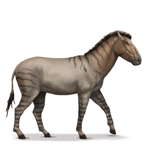 den forhistoriske hesten hippidion