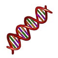 genetique