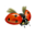 compagnon-coccinelle.png